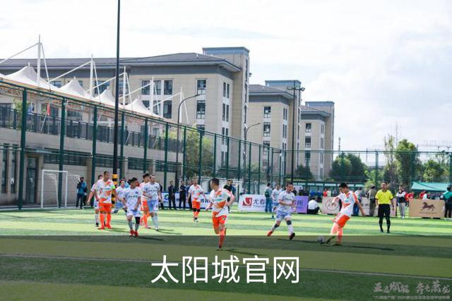 太阳城官网公司简介展示图